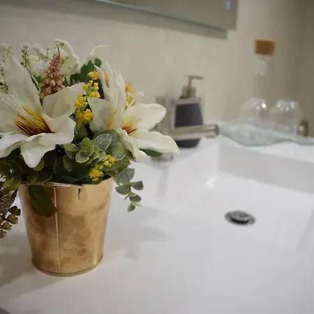 Afonsos House & Alojamento de Turismo Rural Videmonte