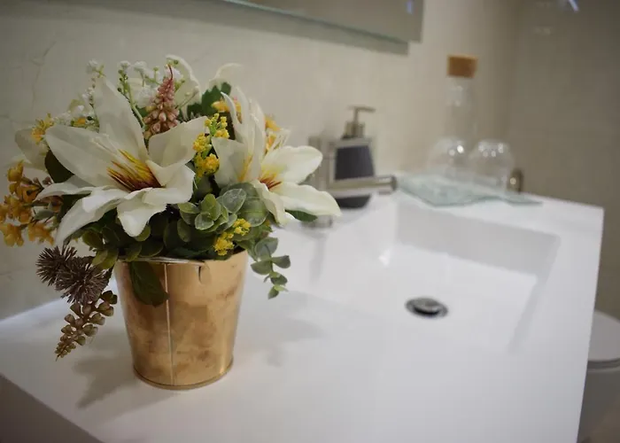 Afonsos House & Gospodarstwo agroturystyczne Videmonte